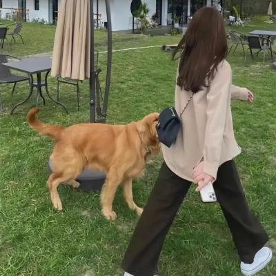 失散两生花